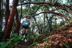 BIB: 
                            <button type="button" onclick="openModal(26345559)" class="btn btn-primary btn-sm float-right btn-popup" data-toggle="modal" data-target=".modal-high-quality">
                        <i class="fas fa-shopping-cart"></i> Add to Cart
                    </button>
                                            <button type="button" onclick="isThisMe(26345559, true)" class="btn btn-success btn-sm float-right btn-popup btn-isme hidden" data-toggle="tooltip" data-placement="bottom" title="นี่คือรูปของคุณใช่ไหม คลิกที่นี่เพื่อเอาเข้าอัลบั้ม">
                        <i class="fas fa-plus"></i> Add to album
                    </button>
                    <button type="button" onclick="isThisMe(26345559, false)" class="btn btn-warning btn-sm float-right btn-popup btn-isnotme hidden">
                        <i class="fas fa-ban"></i> Remove from album
                    </button>